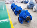 10 sets double suction pump to USA 